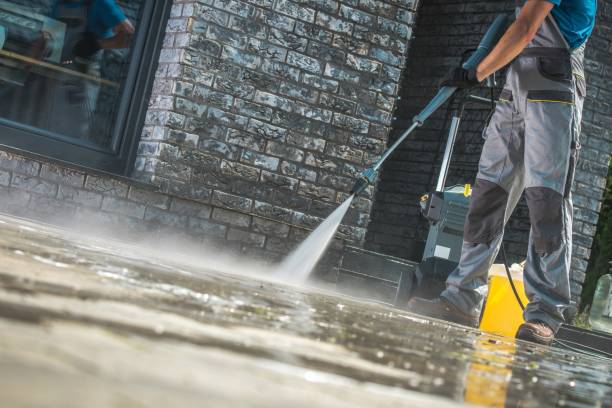 Best Pre-Holiday Cleaning  in Cashton, WI