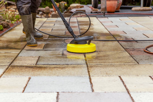 Best Animal Enclosure Cleaning  in Cashton, WI