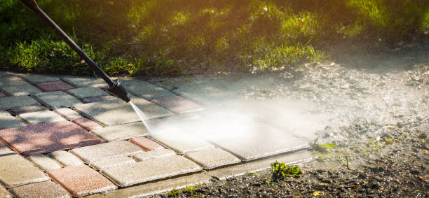 Best Solar Panel Cleaning  in Cashton, WI