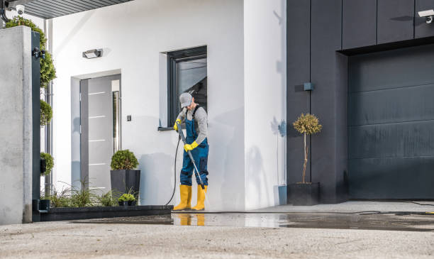 Best Paint Preparation  in Cashton, WI